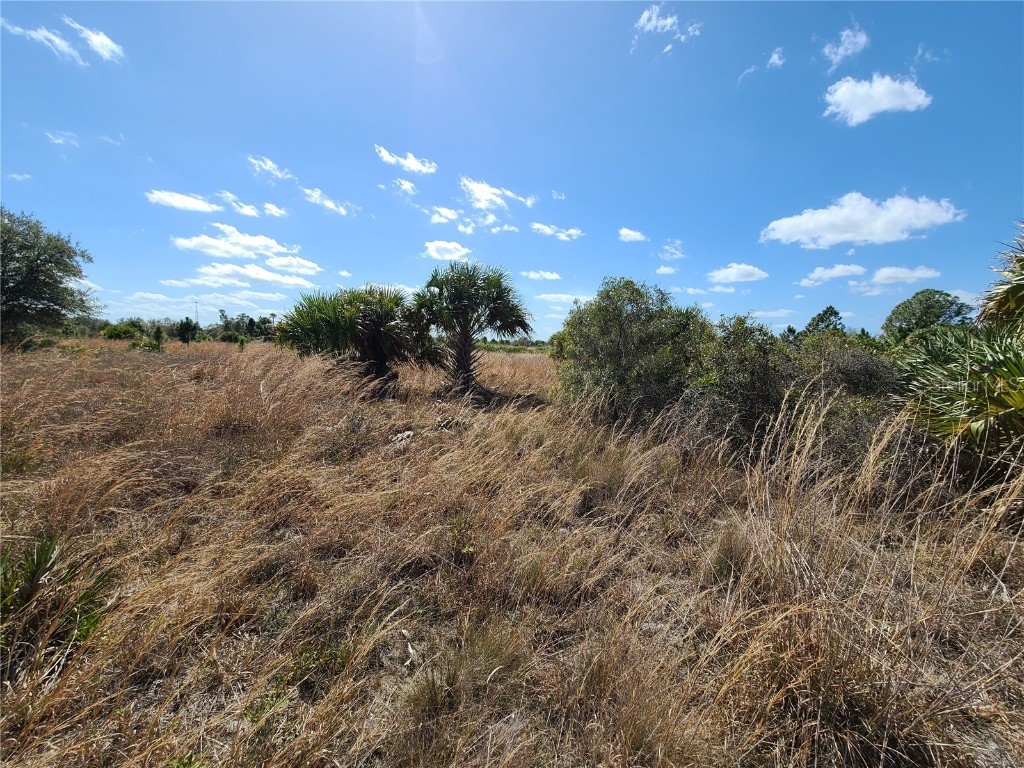 16864 NW 294th Street Okeechobee FL 34972 OK221069 image1