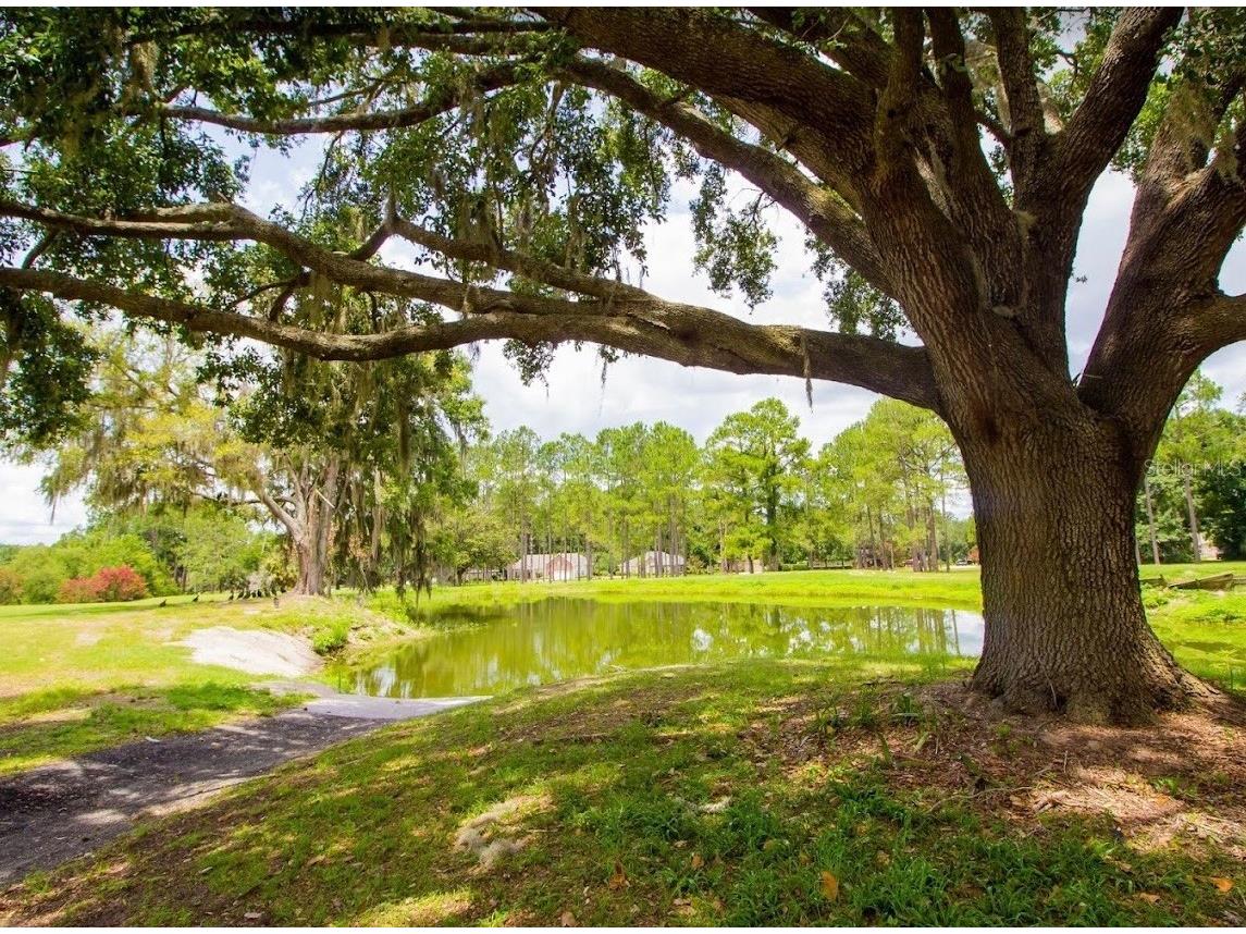 16865 NW 176th Way Alachua FL 32615 GC538727 image49