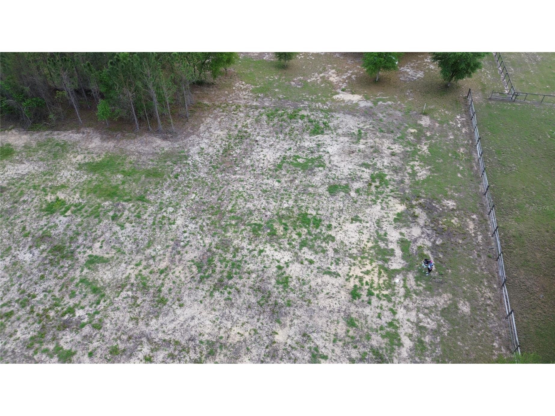 16865 SE 27th Place Road Ocklawaha FL 32179 - North Lake NS1087793 image4
