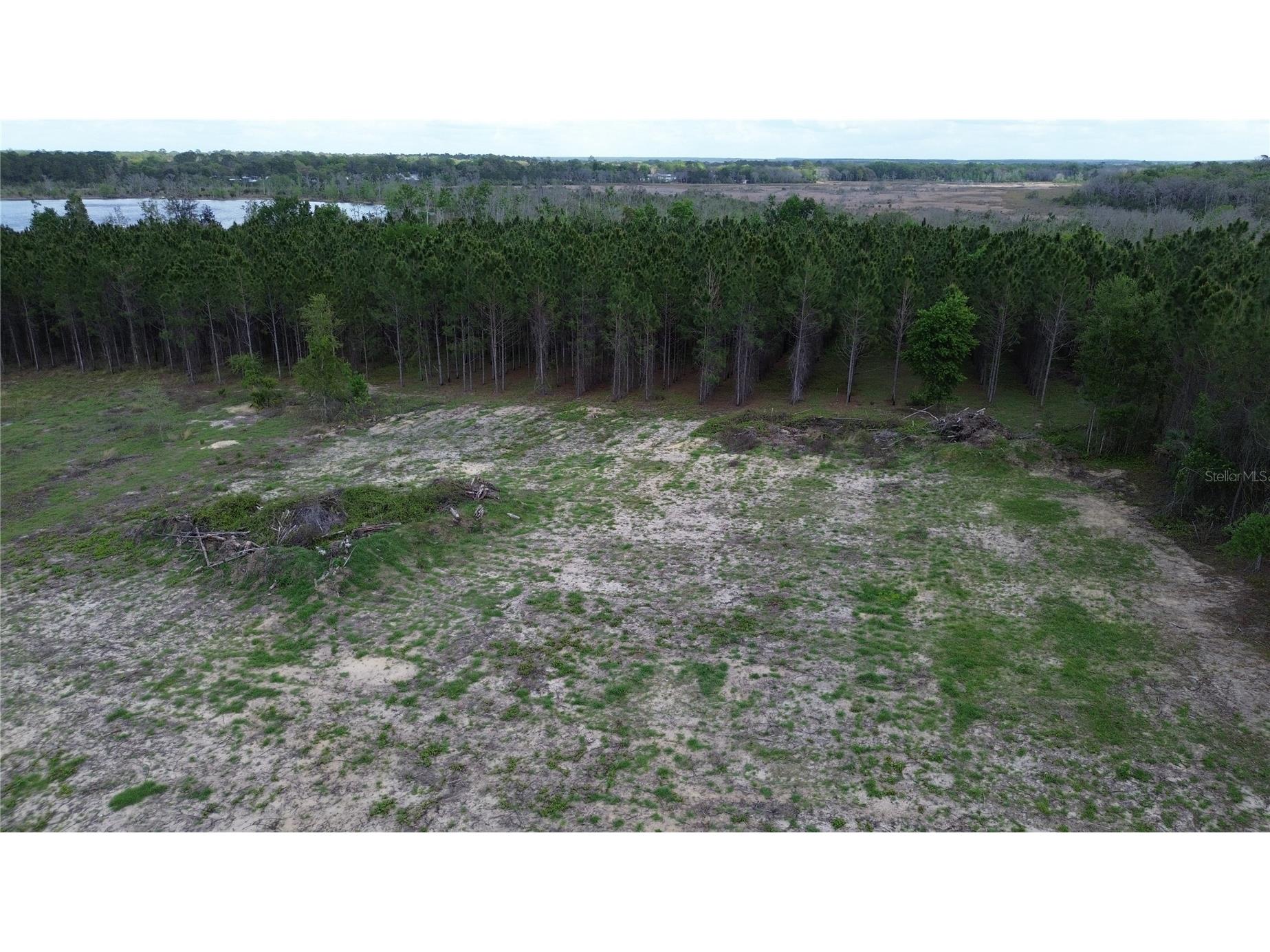 16865 SE 27th Place Road Ocklawaha FL 32179 - North Lake NS1087793 image5