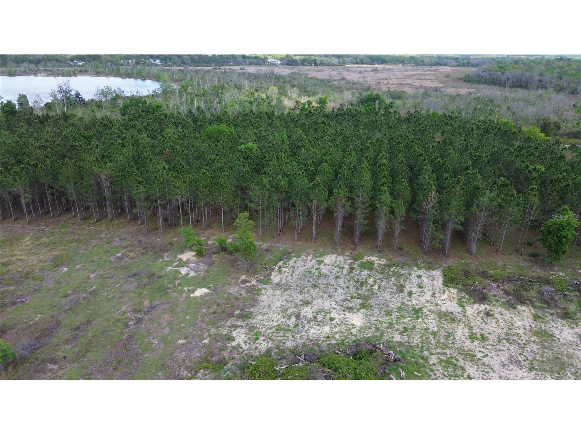 16865 SE 27th Place Road Ocklawaha FL 32179 - North Lake NS1087793 image7