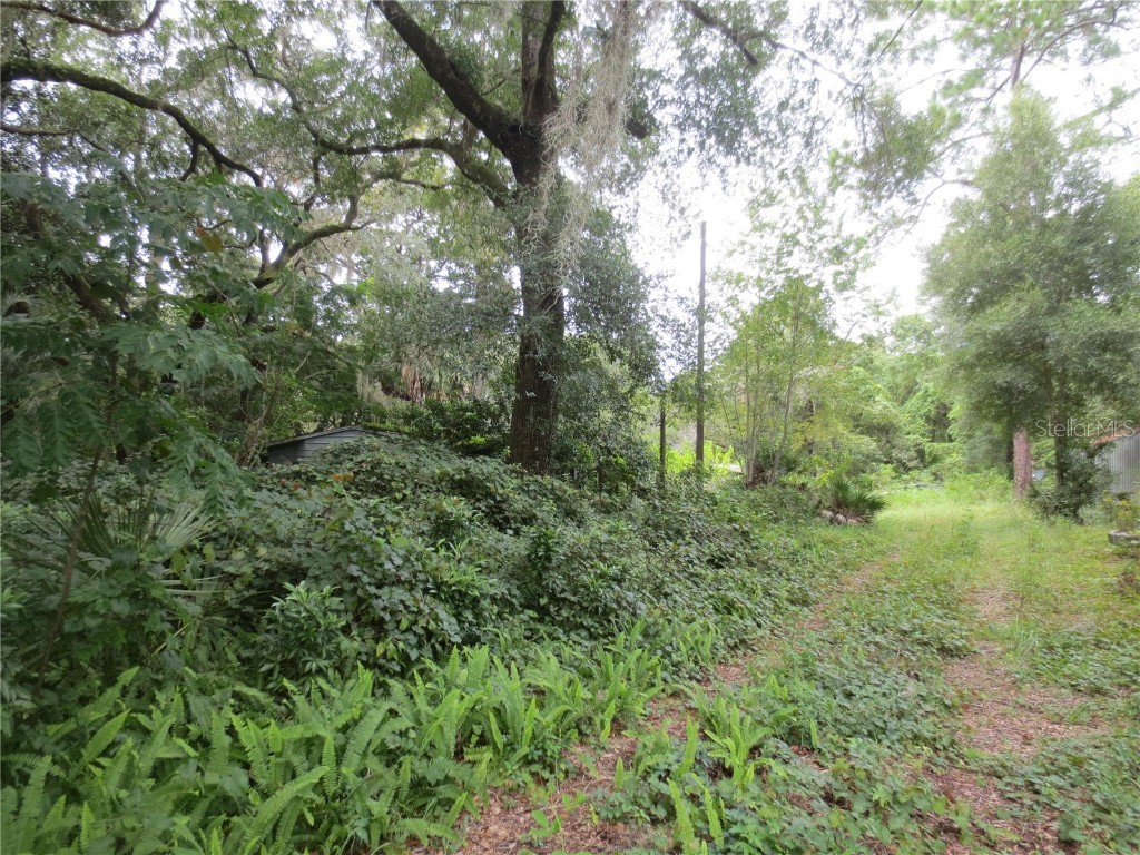 16865 SE 3rd Place Silver Springs FL 34488 OM685798 image1