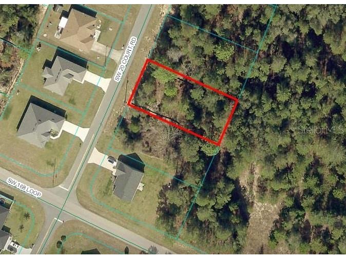 16869 SW 20th Court Road Ocala FL 34473 OM700189 image1