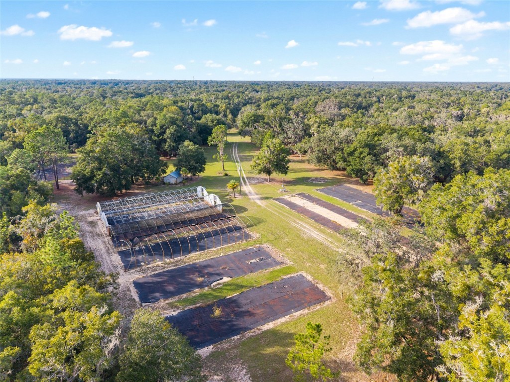 16876 NE 30th Court Citra FL 32113 OM712342 image49