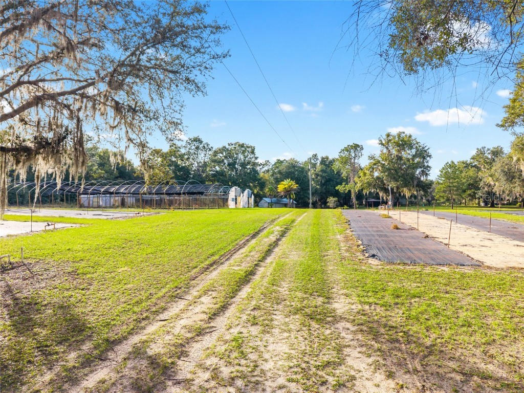 16876 NE 30th Court Citra FL 32113 OM712342 image8