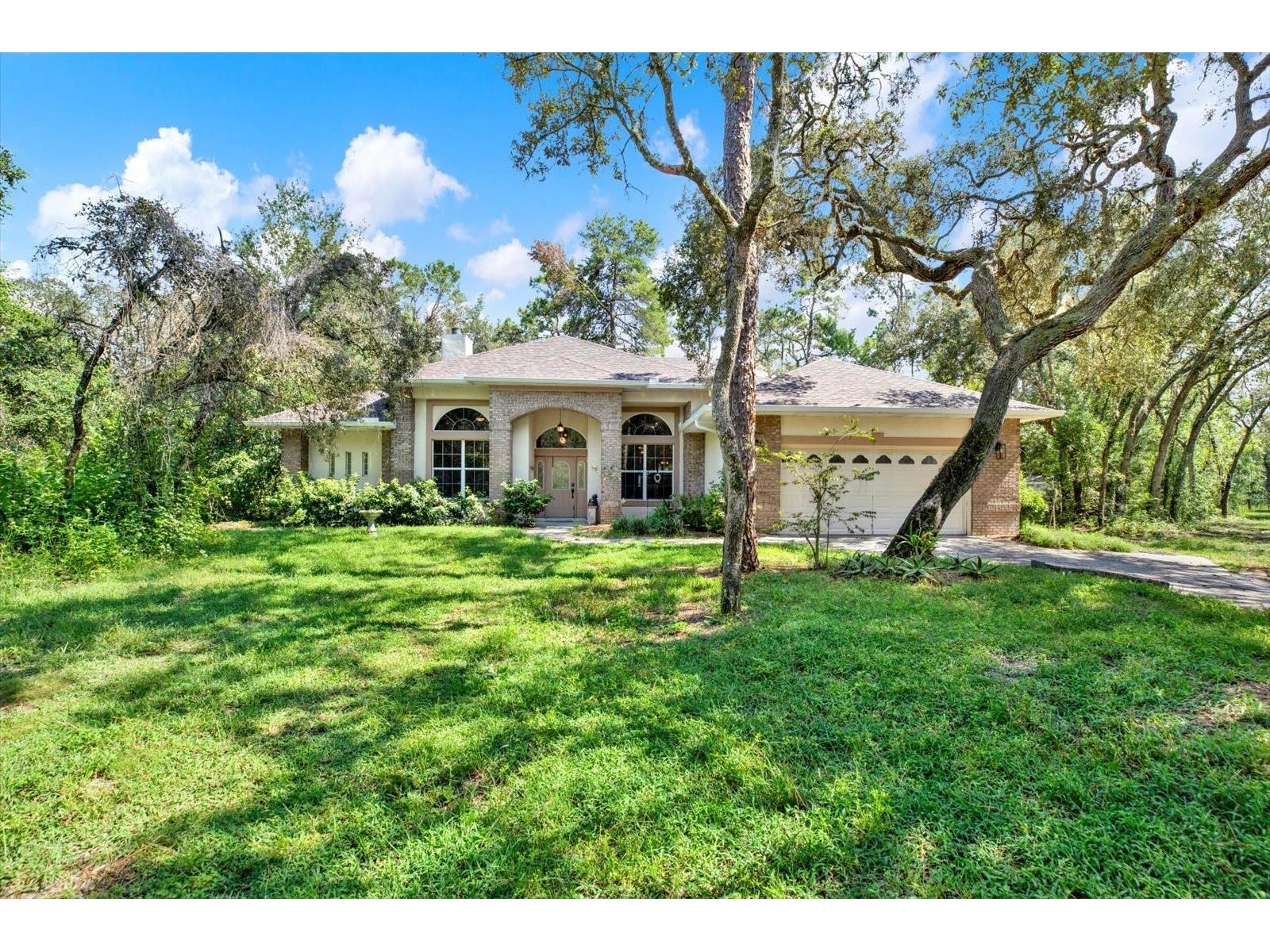 16879 Akins Drive Spring Hill FL 34610 TB8422820 image1