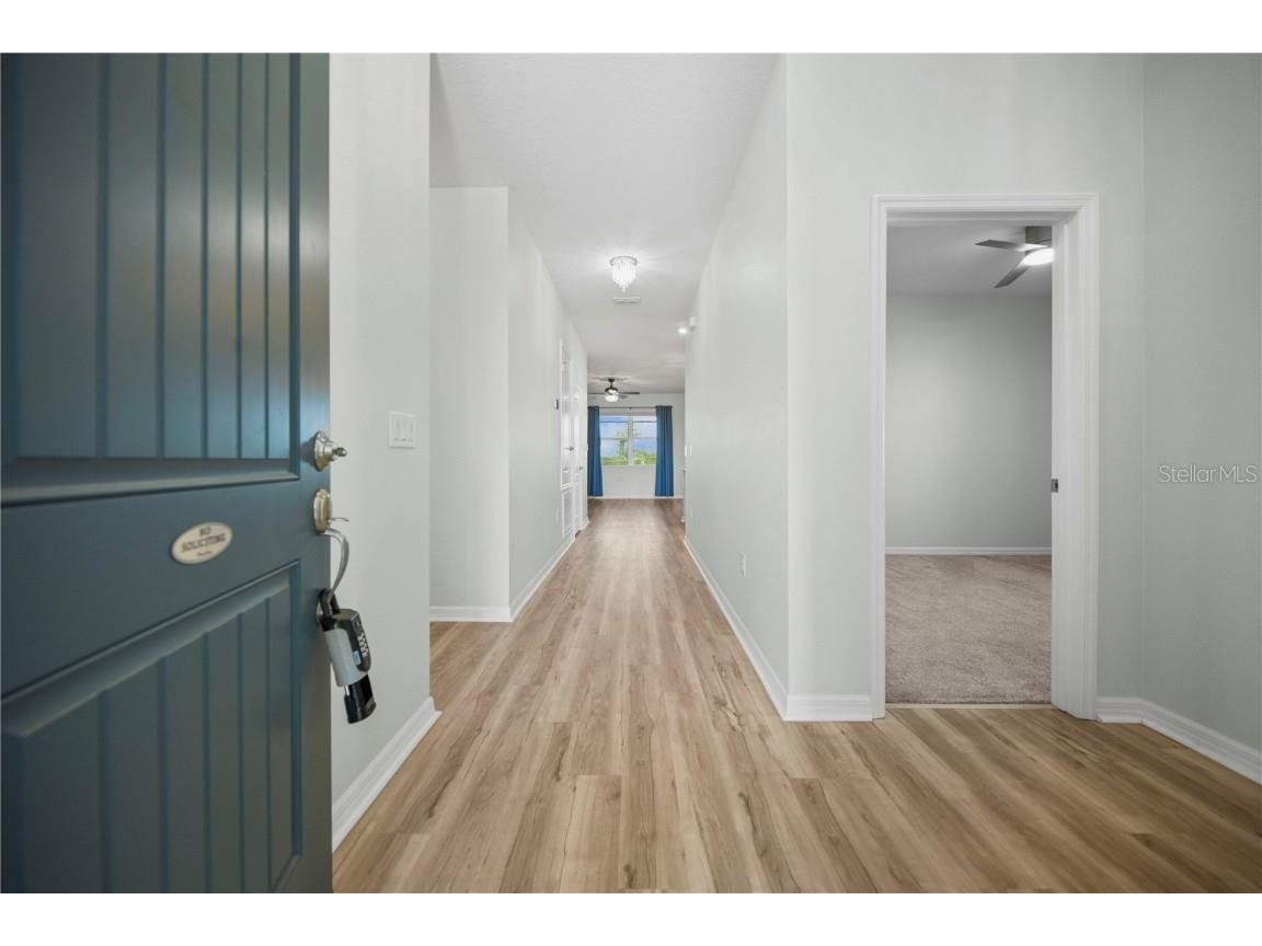 1688 Littleleaf Boxwood Loop Mascotte FL 34753 O6361856 image11