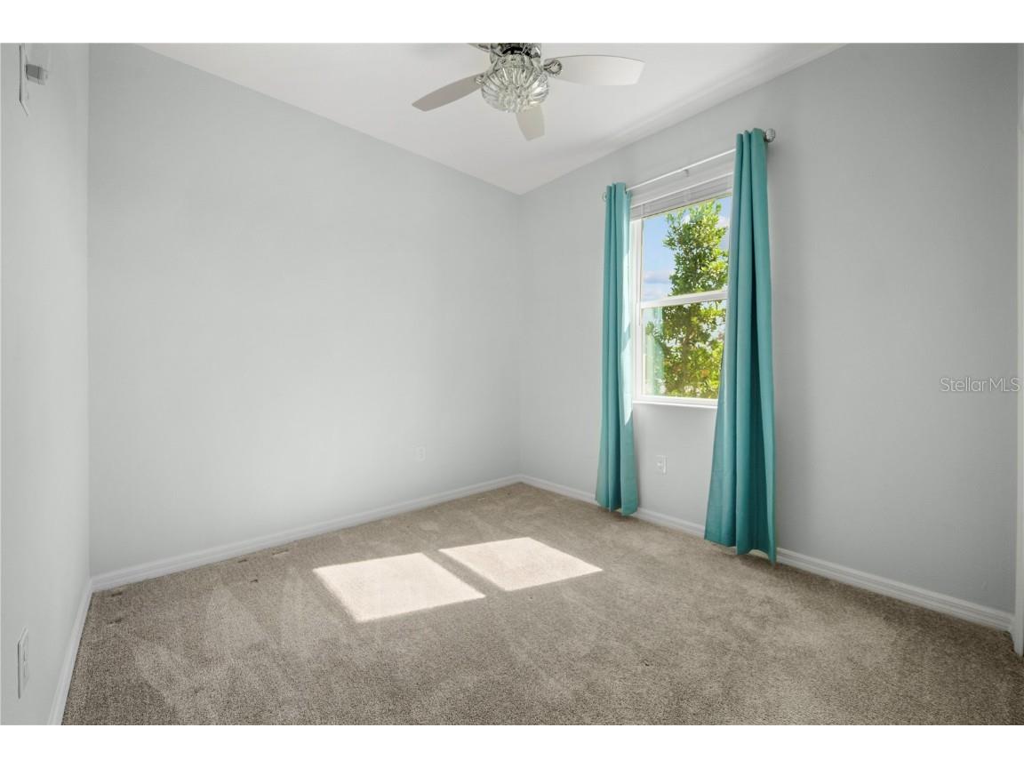 1688 Littleleaf Boxwood Loop Mascotte FL 34753 O6361856 image40