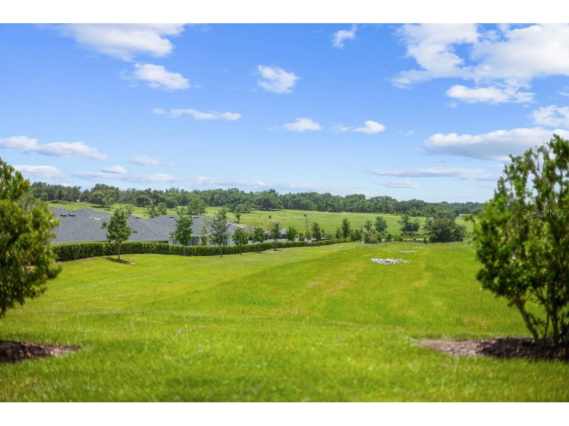 1688 Littleleaf Boxwood Loop Mascotte FL 34753 O6361856 image43