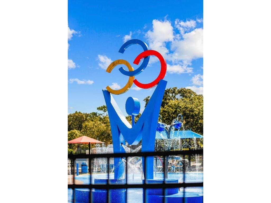 1688 Littleleaf Boxwood Loop Mascotte FL 34753 O6361856 image56