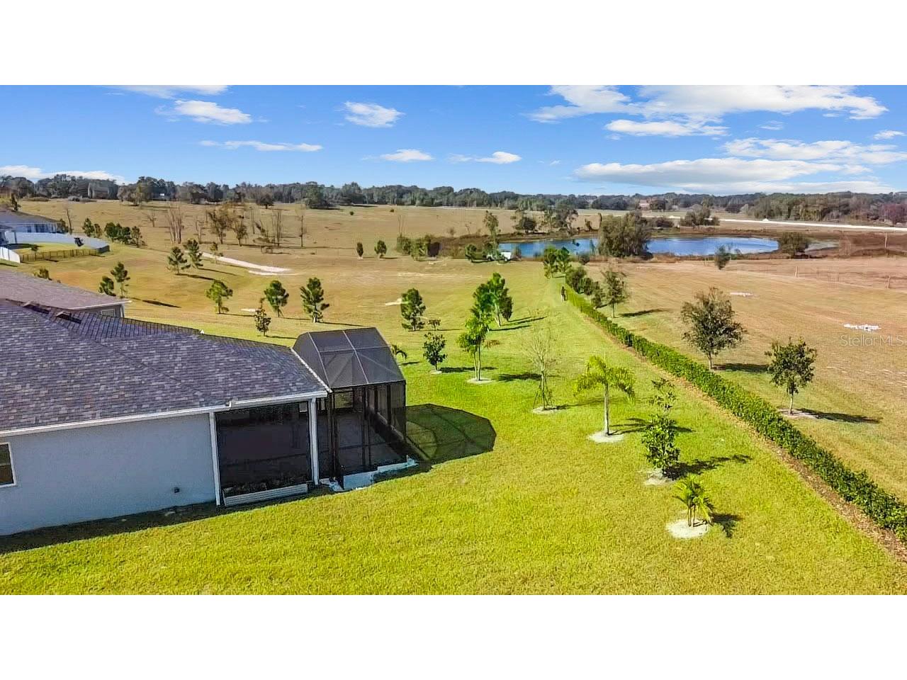 1688 Littleleaf Boxwood Loop Mascotte FL 34753 O6361856 image7