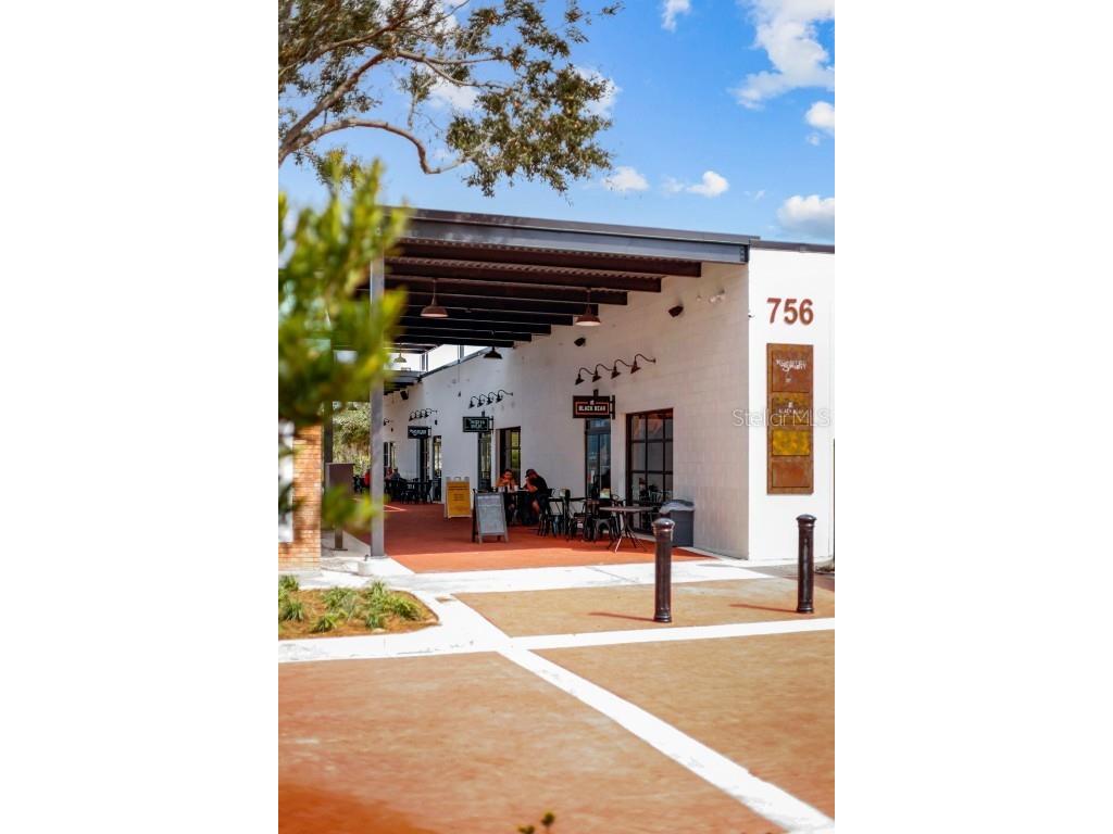 1688 Littleleaf Boxwood Loop Mascotte FL 34753 O6361856 image73