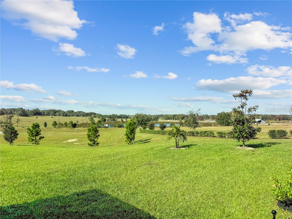 1688 Littleleaf Boxwood Loop Mascotte FL 34753 O6361856 image8