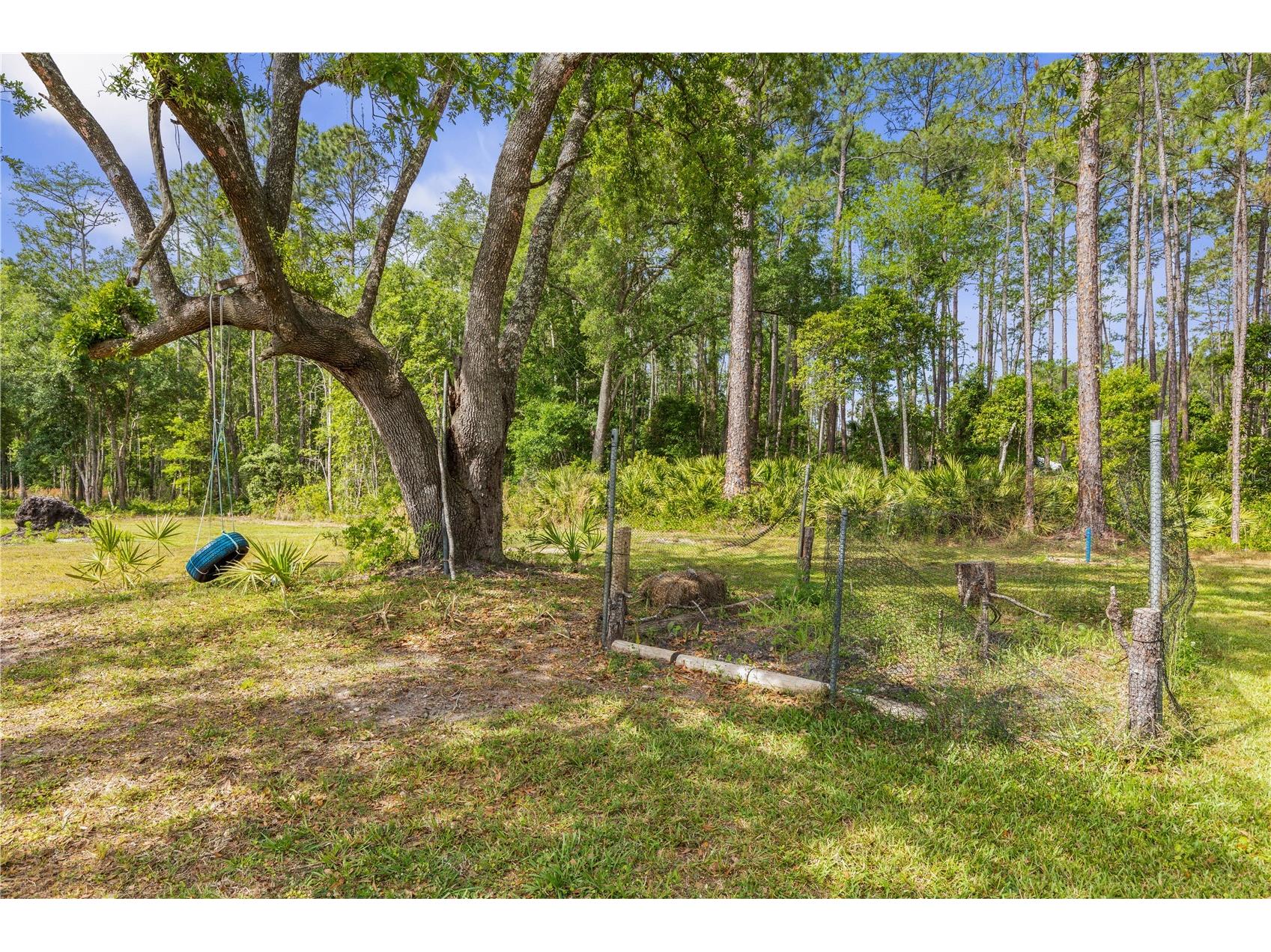 1688 Papaya Street Bunnell FL 32110 FC317982 image43