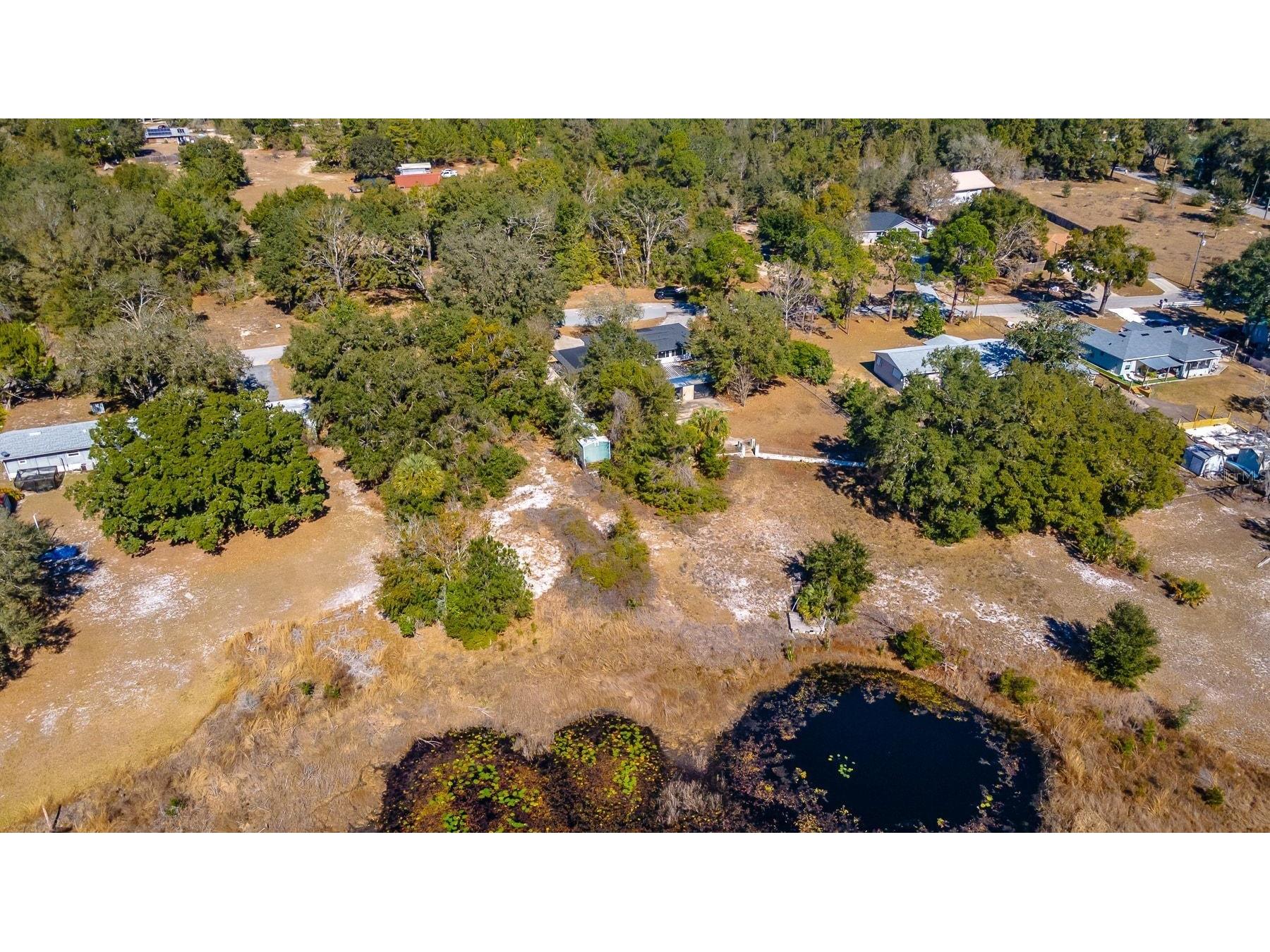 16880 SE 63rd Lane Ocklawaha FL 32179 O6378305 image76
