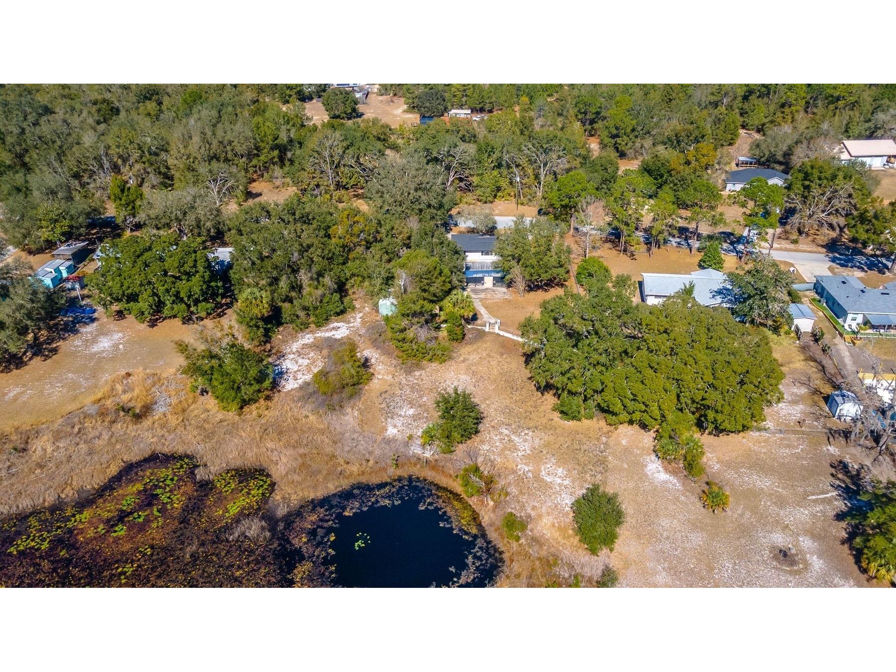 16880 SE 63rd Lane Ocklawaha FL 32179 O6378305 image77