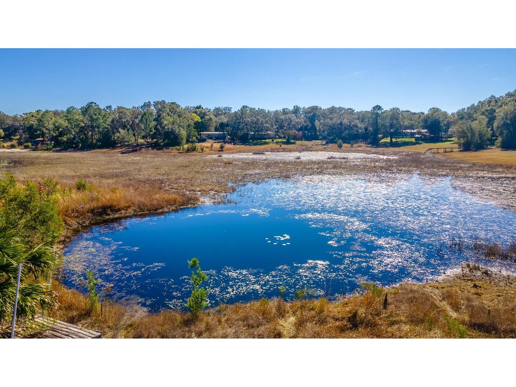 16880 SE 63rd Lane Ocklawaha FL 32179 O6378305 image8