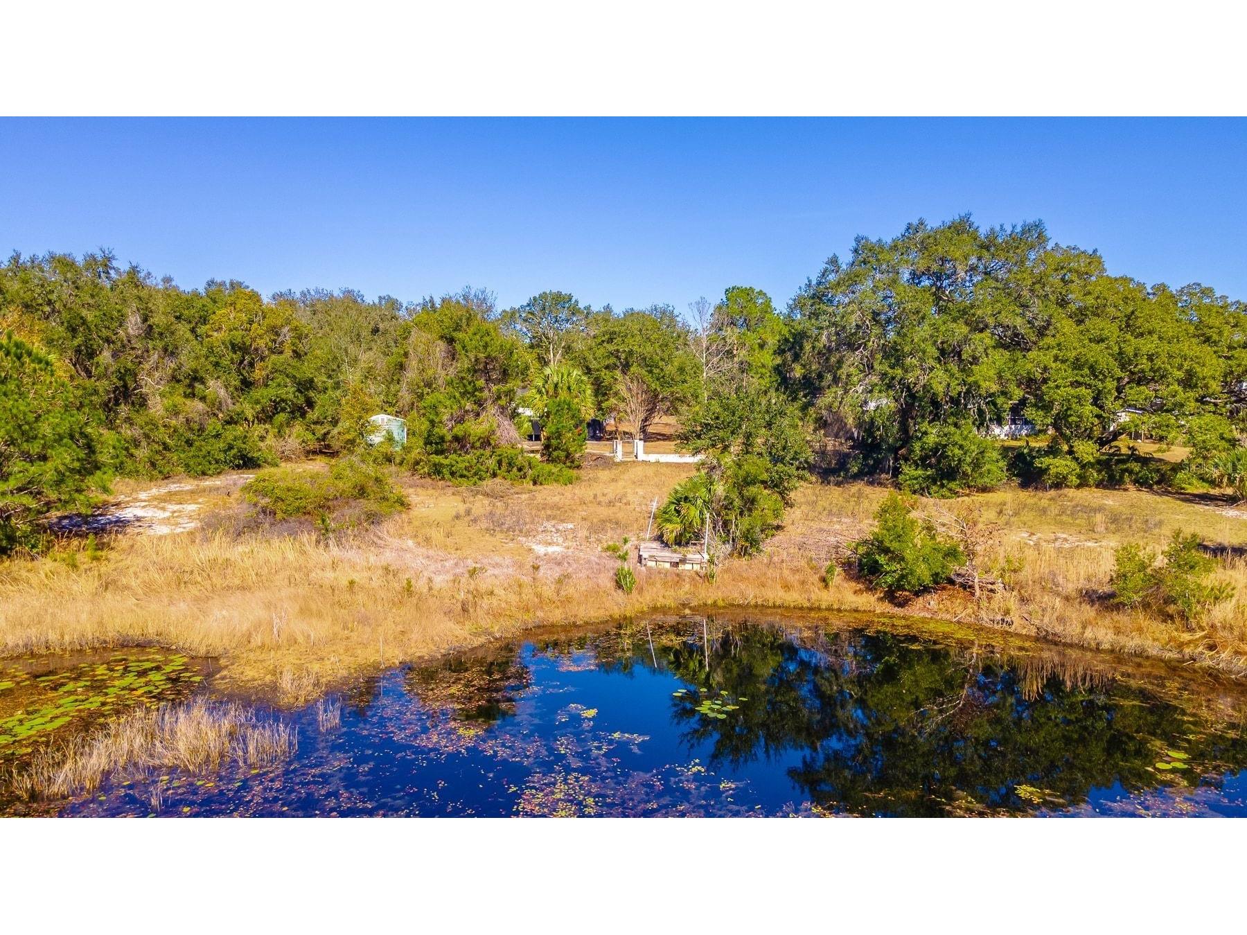 16880 SE 63rd Lane Ocklawaha FL 32179 O6378305 image9