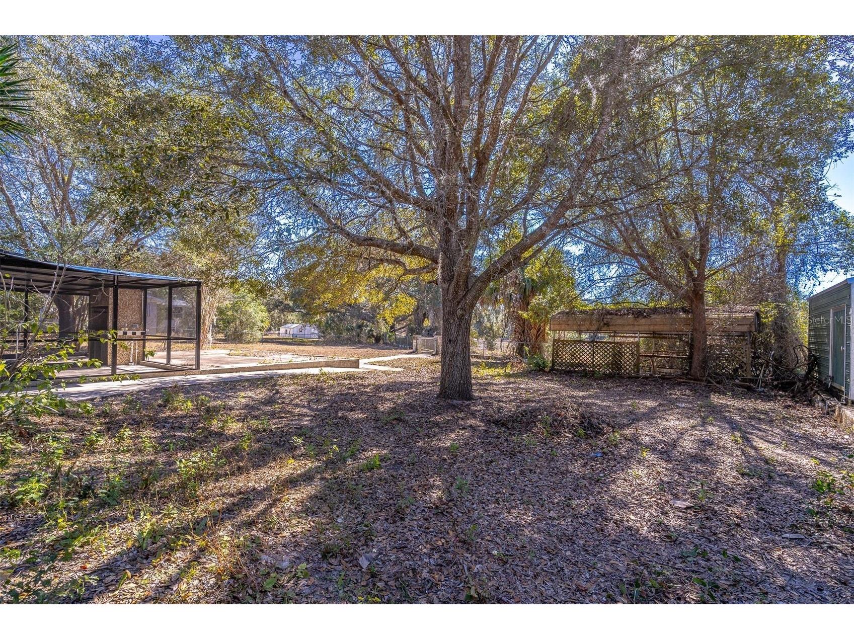 16880 SE 63rd Lane Ocklawaha FL 32179 O6404210 image50