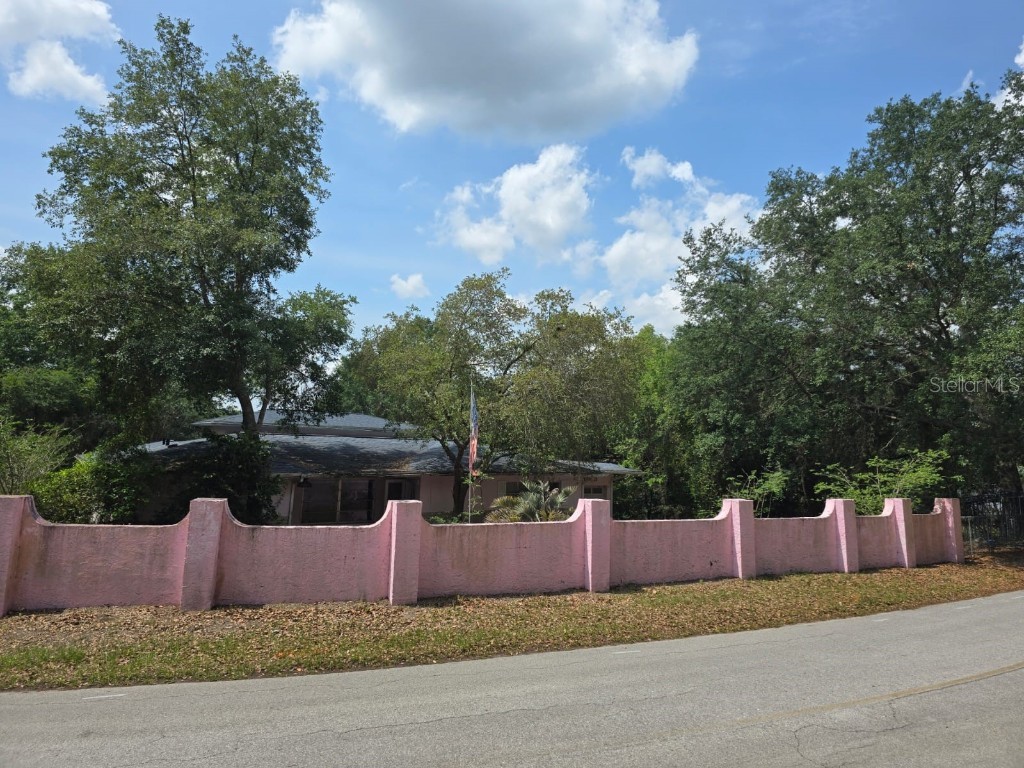 16880 SE 63rd Lane Ocklawaha FL 32179 V4942777 image1