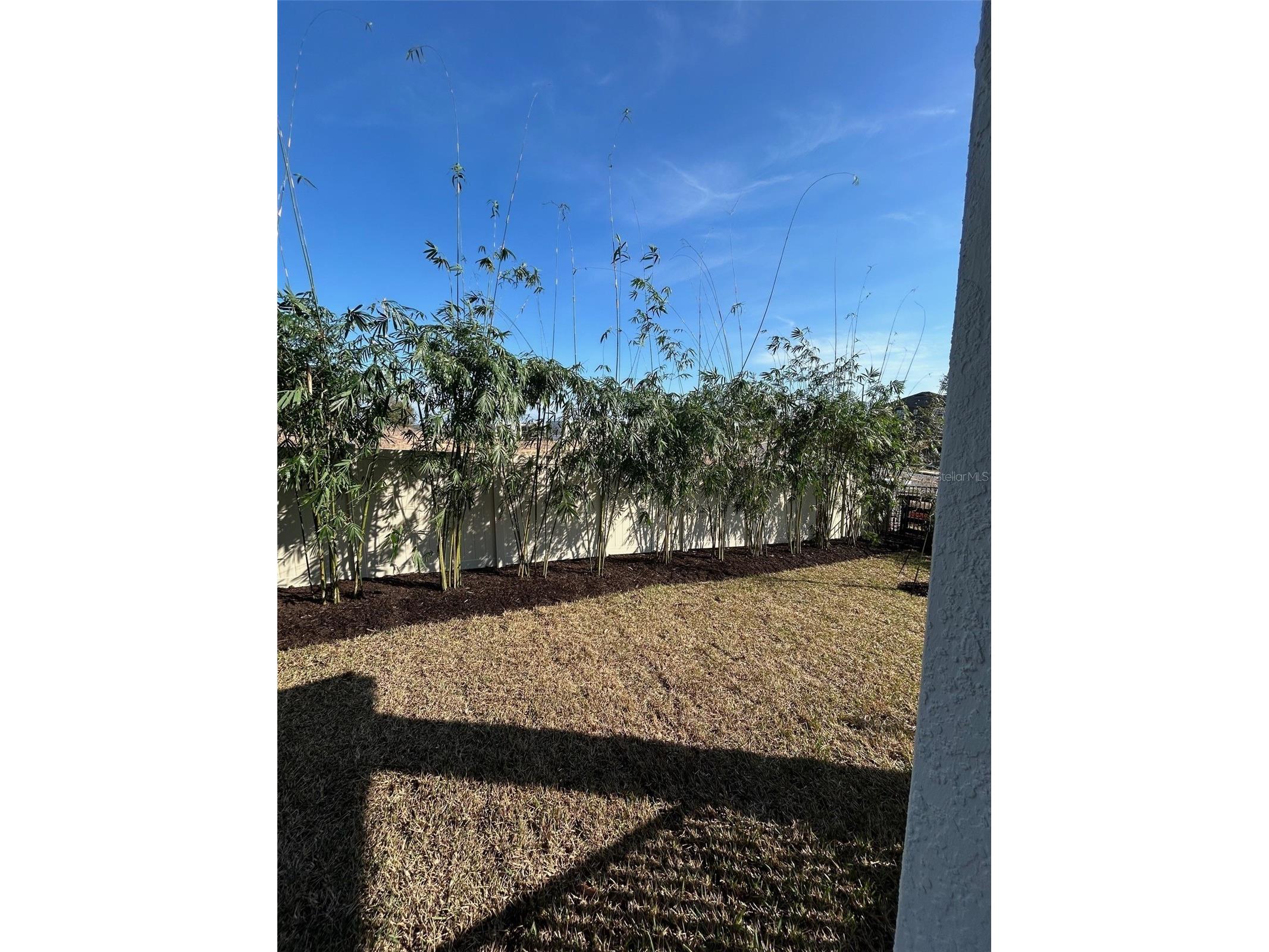 16882 Cedar Valley Circle Clermont FL 34711 TB8435019 image44