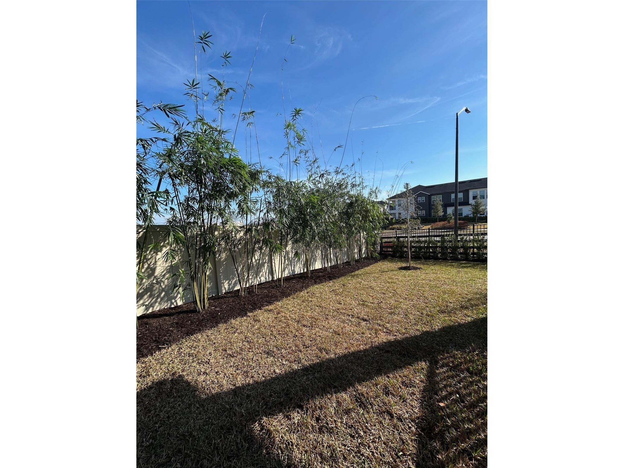 16882 Cedar Valley Circle Clermont FL 34711 TB8435019 image47