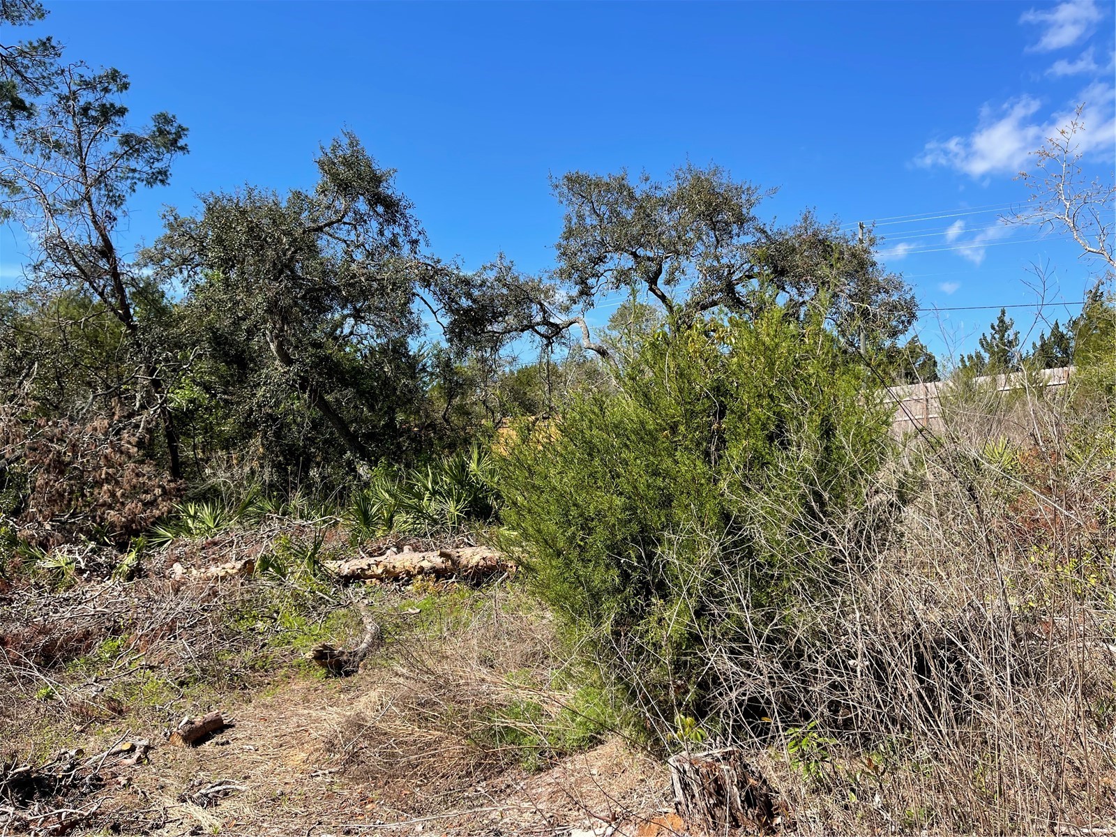 16883 Dry Tortugas Run Hudson FL 34667 W7873795 image2