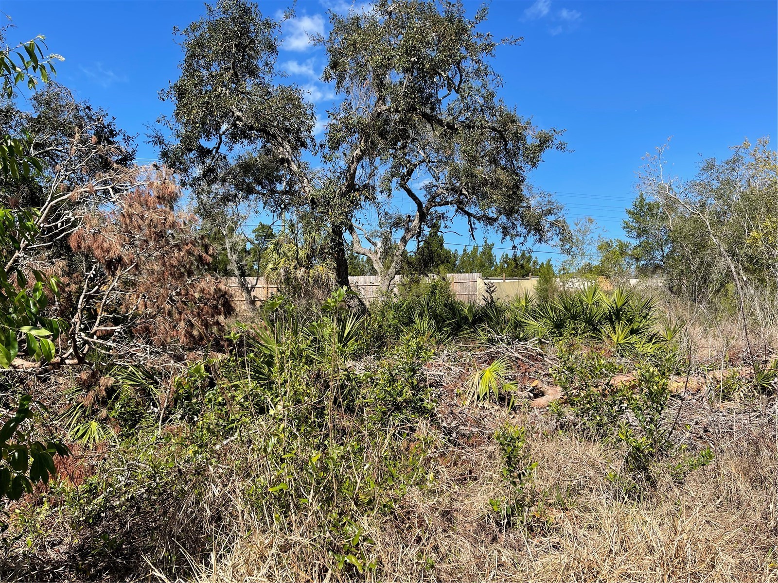 16883 Dry Tortugas Run Hudson FL 34667 W7873795 image3