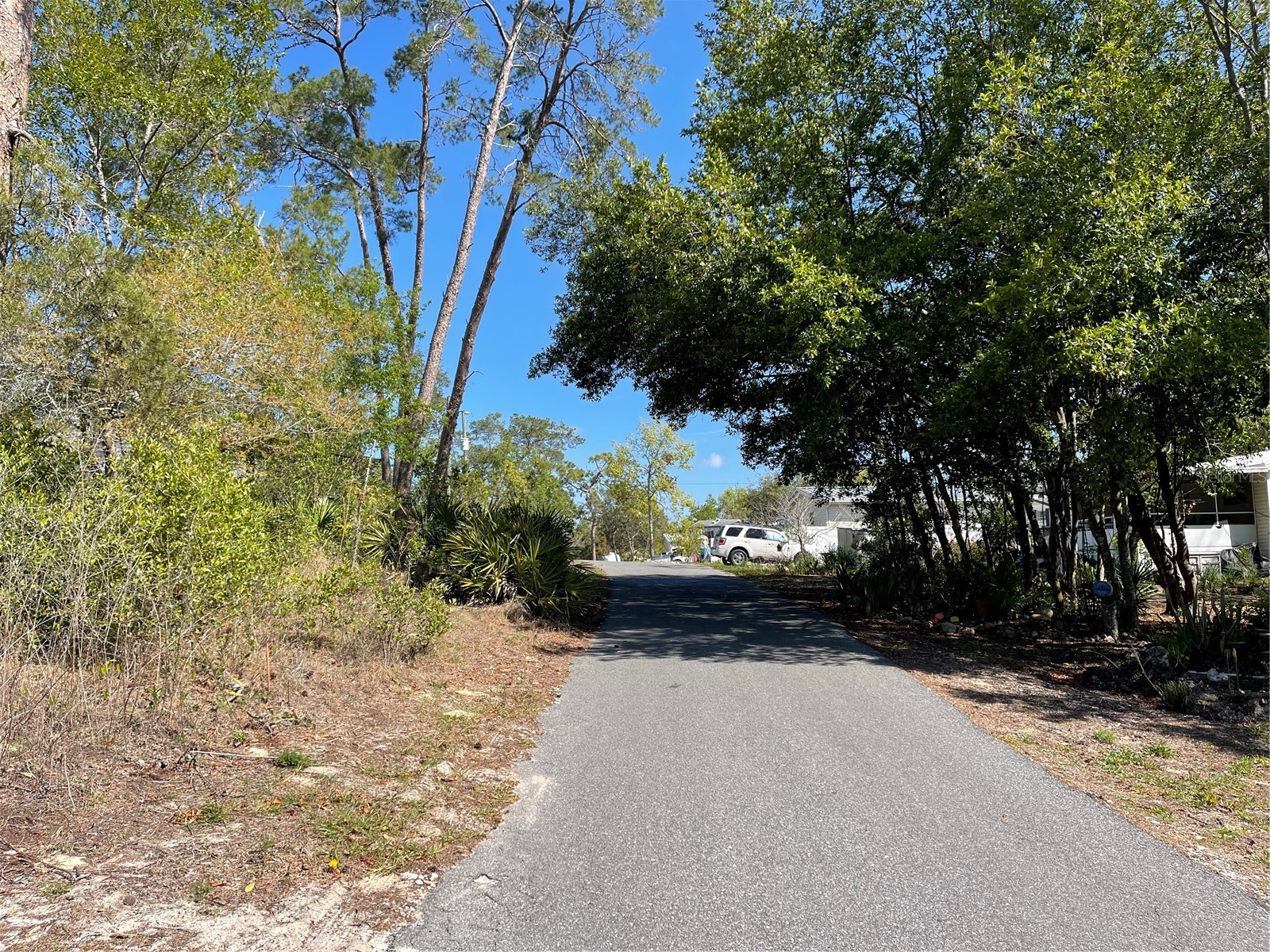 16883 Dry Tortugas Run Hudson FL 34667 W7873795 image4