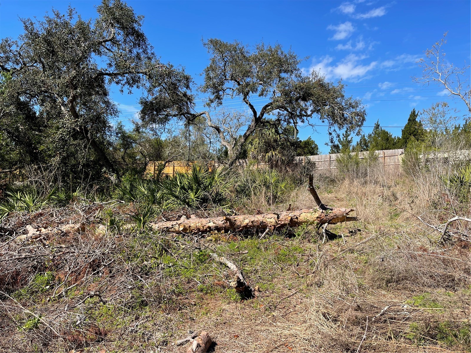 16883 Dry Tortugas Run Hudson FL 34667 W7873795 image6