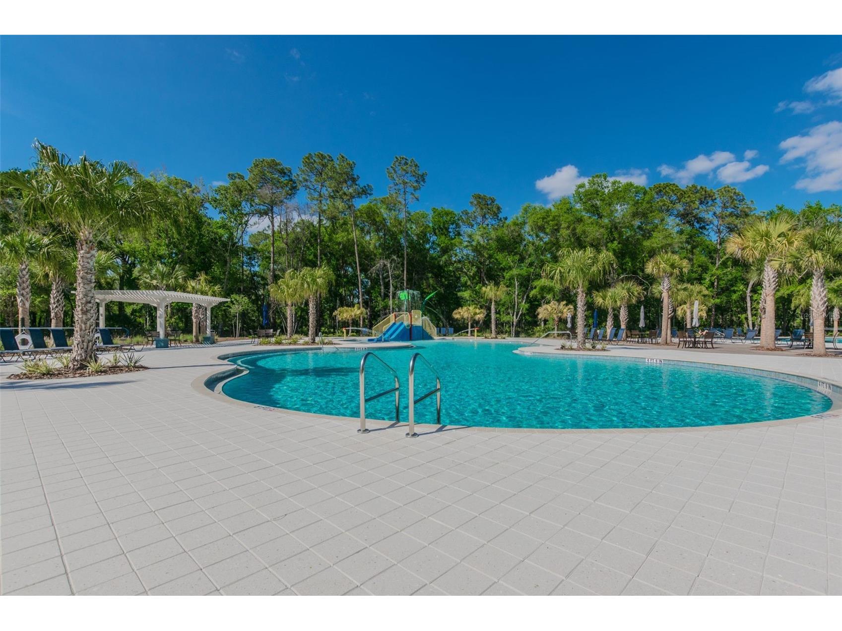 16884 Full Sun Alley Land O Lakes FL 34638 TB8514539 image68