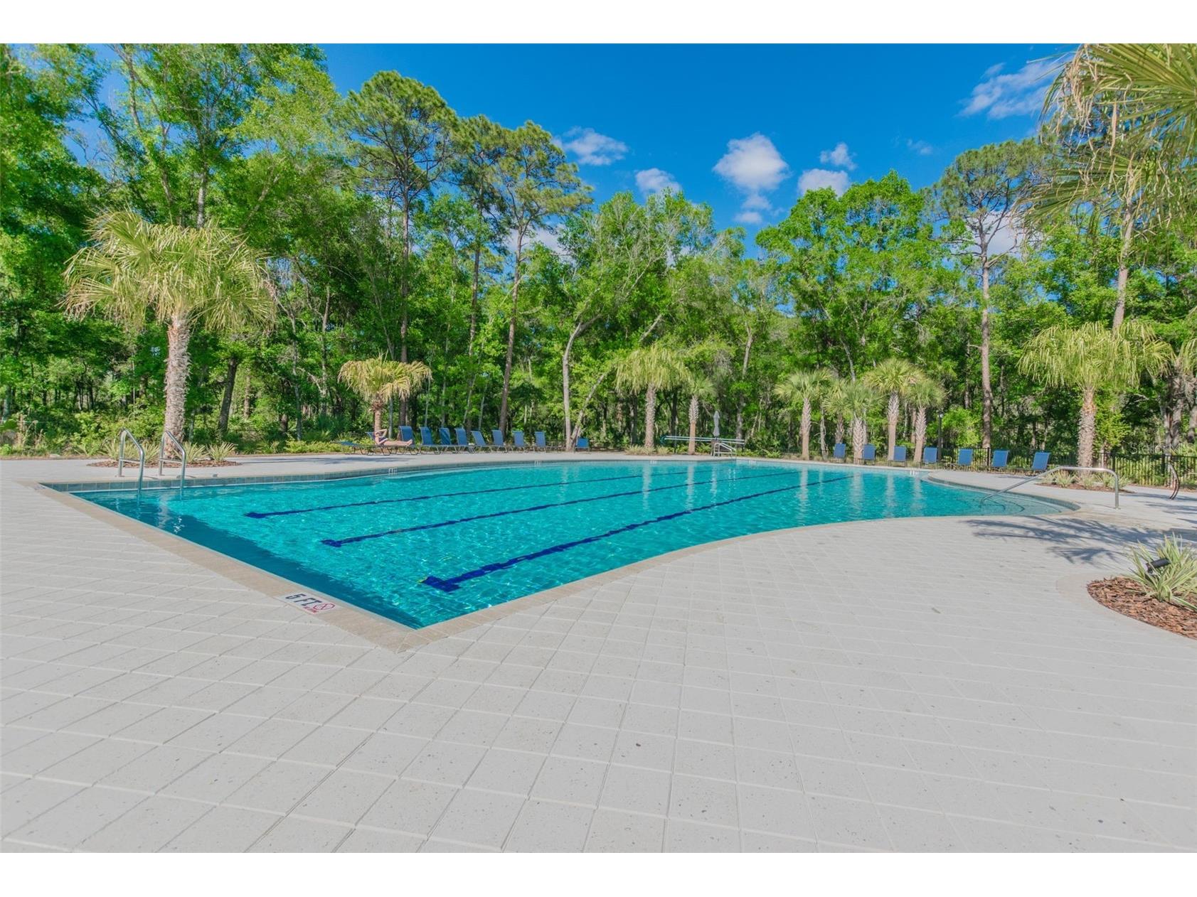 16884 Full Sun Alley Land O Lakes FL 34638 TB8514539 image69