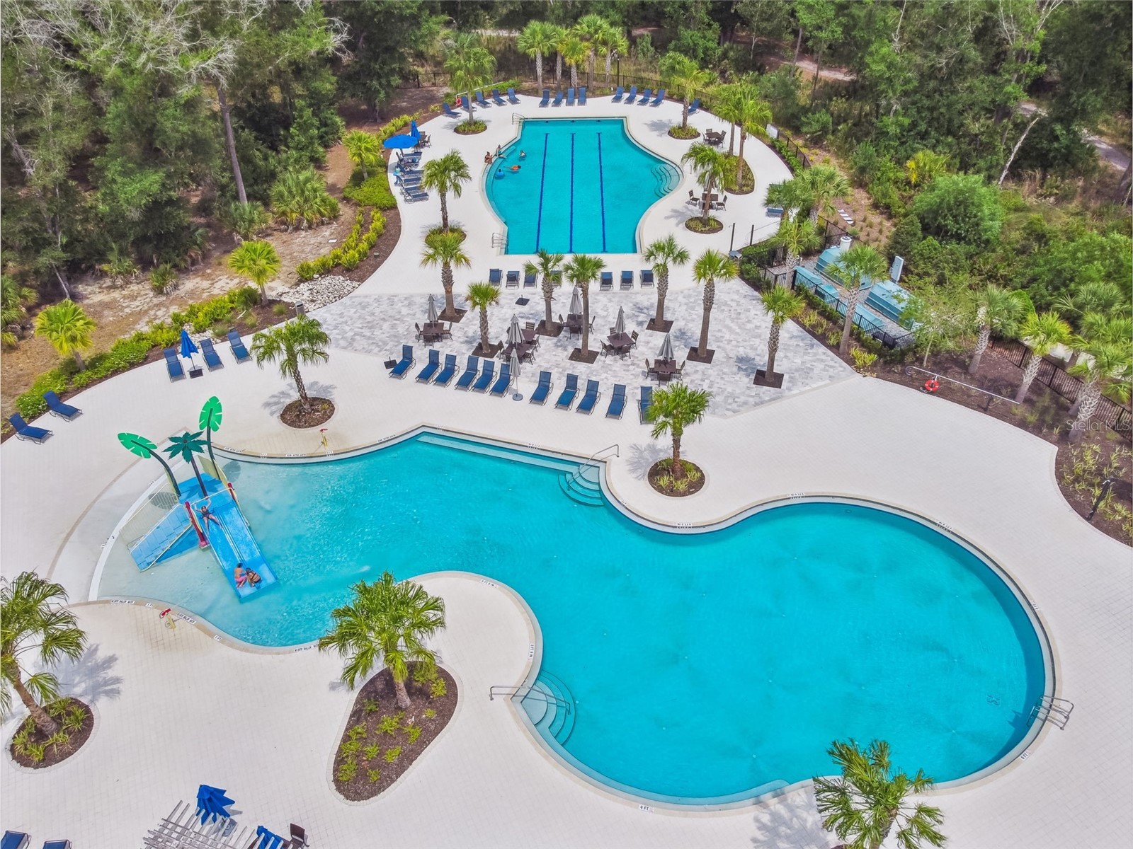 16884 Full Sun Alley Land O Lakes FL 34638 TB8514539 image71