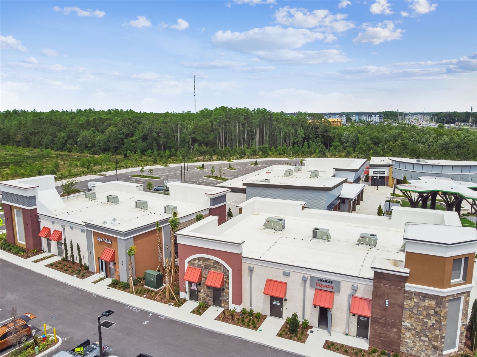 16884 Full Sun Alley Land O Lakes FL 34638 TB8514539 image95