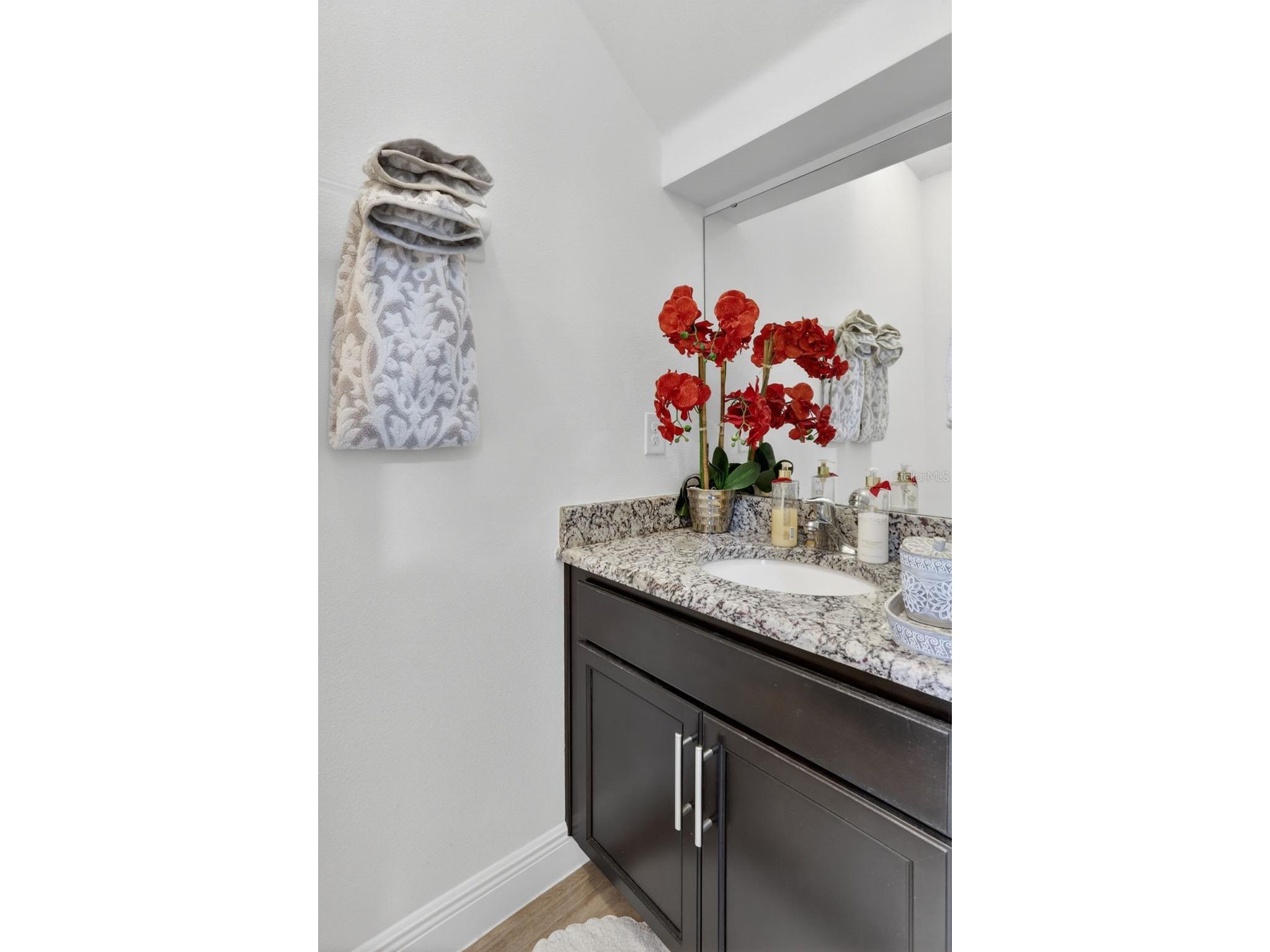 16885 Meadows St Clermont FL 34714 O6413700 image23