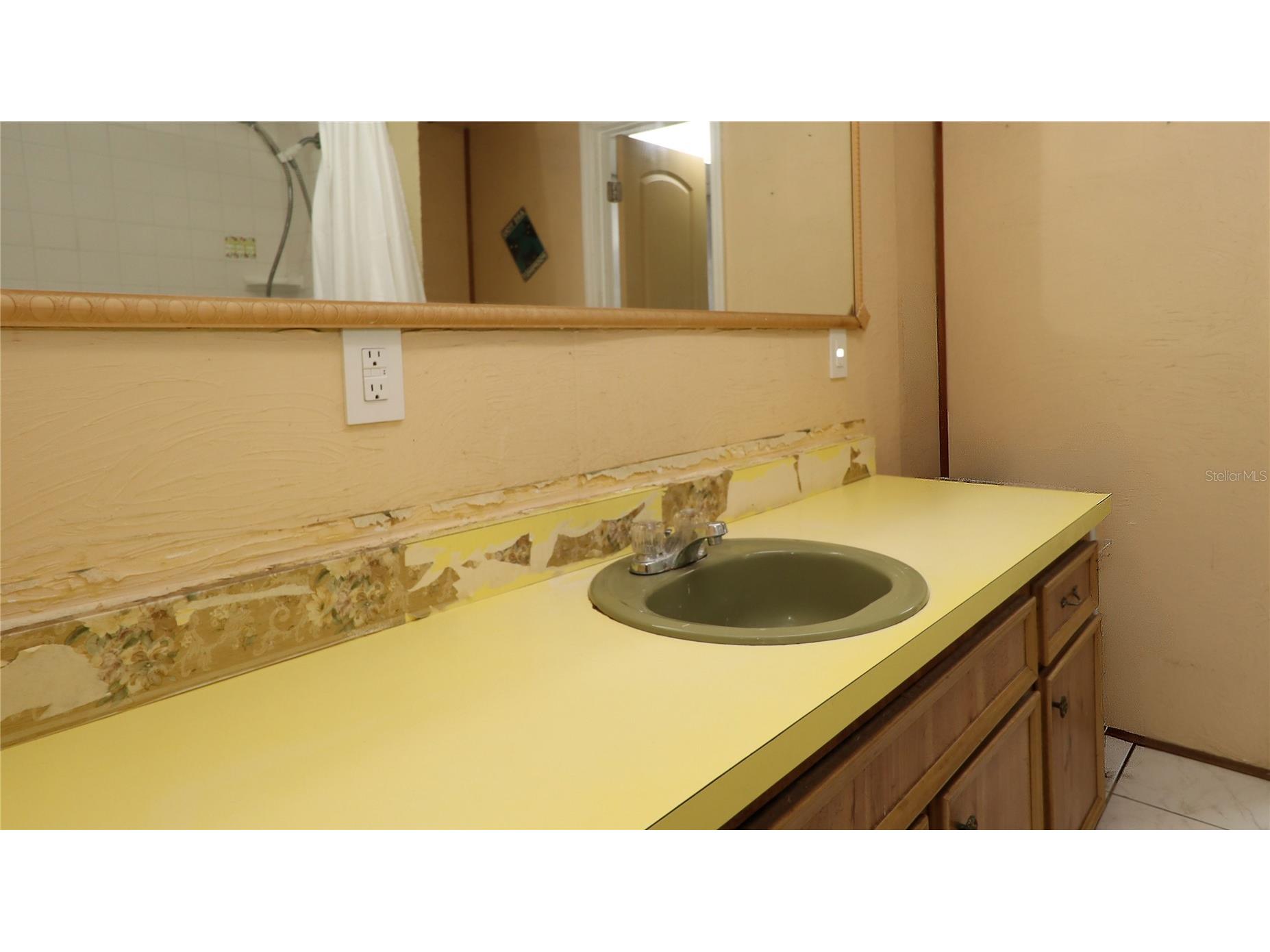 16885 SE 71st Street Ocklawaha FL 32179 - Lake Placid OM726205 image15