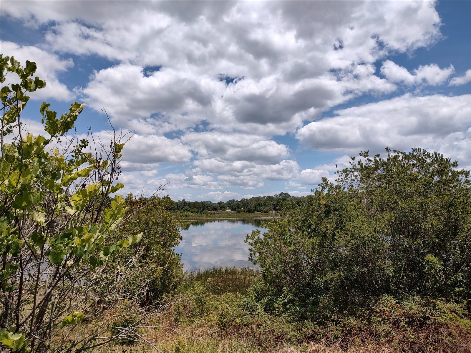 16885 SE 71st Street Ocklawaha FL 32179 - Lake Placid OM726205 image2