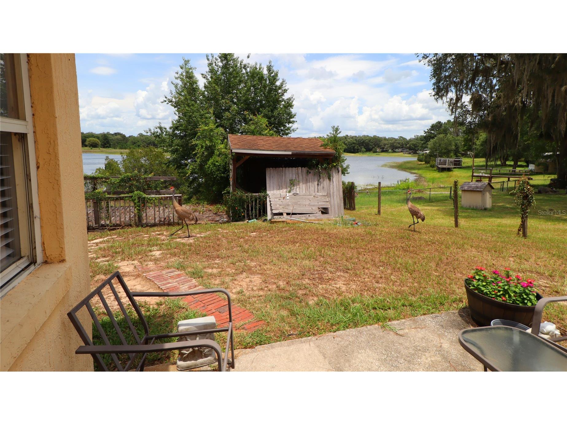16885 SE 71st Street Ocklawaha FL 32179 - Lake Placid OM726205 image28