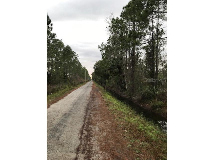 1689 E Prideaux Road Osteen FL 32764 V4928061 image1