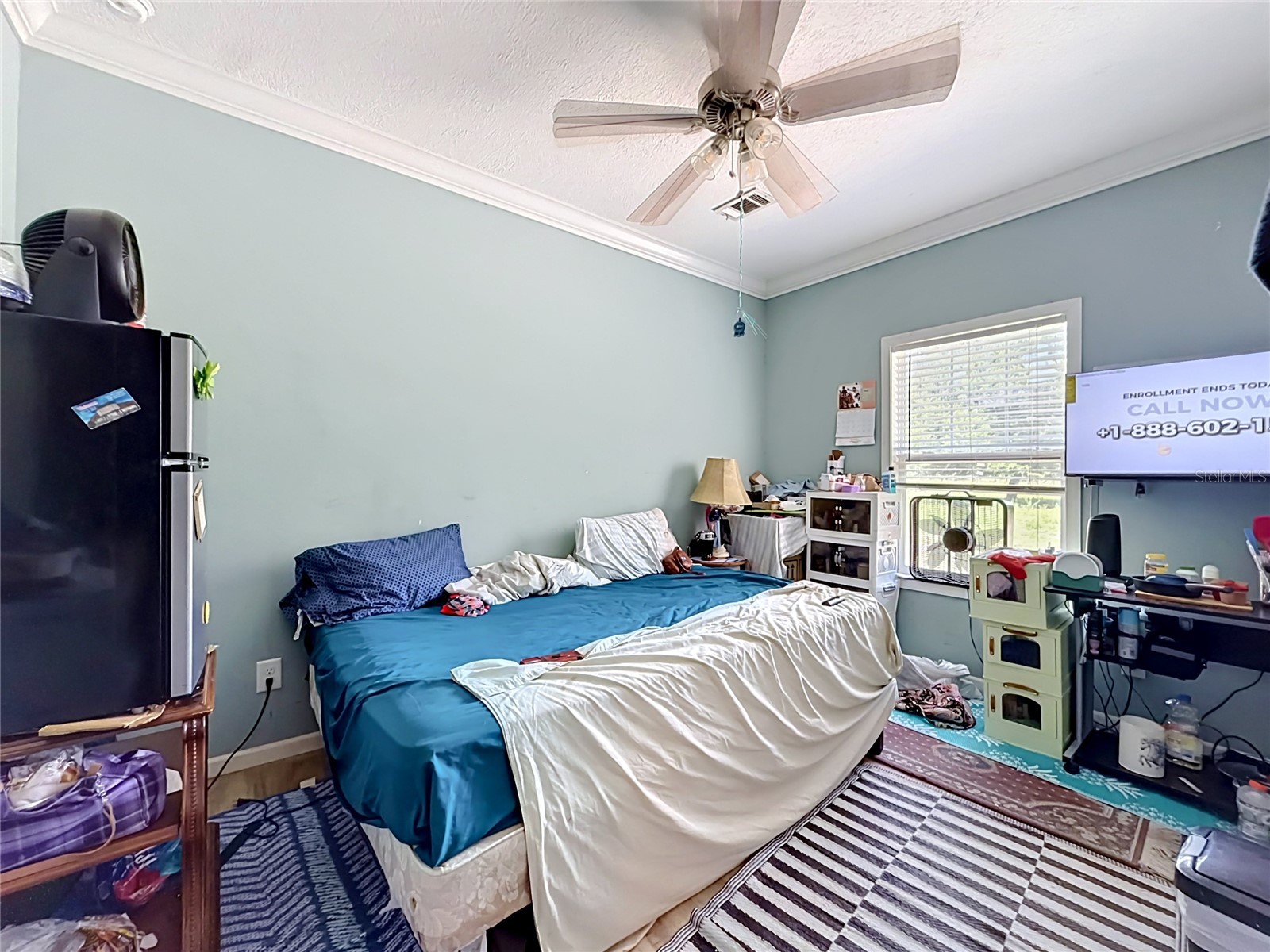 1689 NE 189th Lane Citra FL 32113 TB8513766 image13