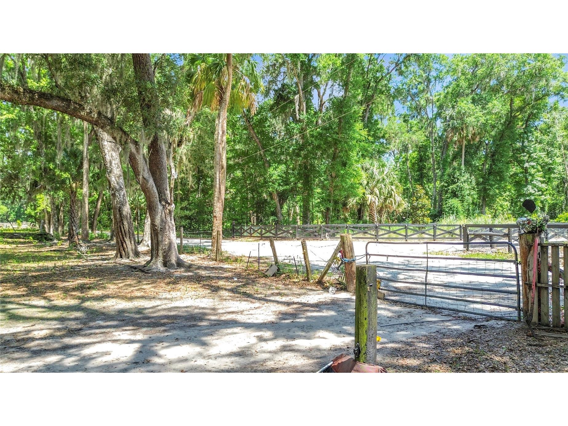 1689 NE 189th Lane Citra FL 32113 TB8513766 image19