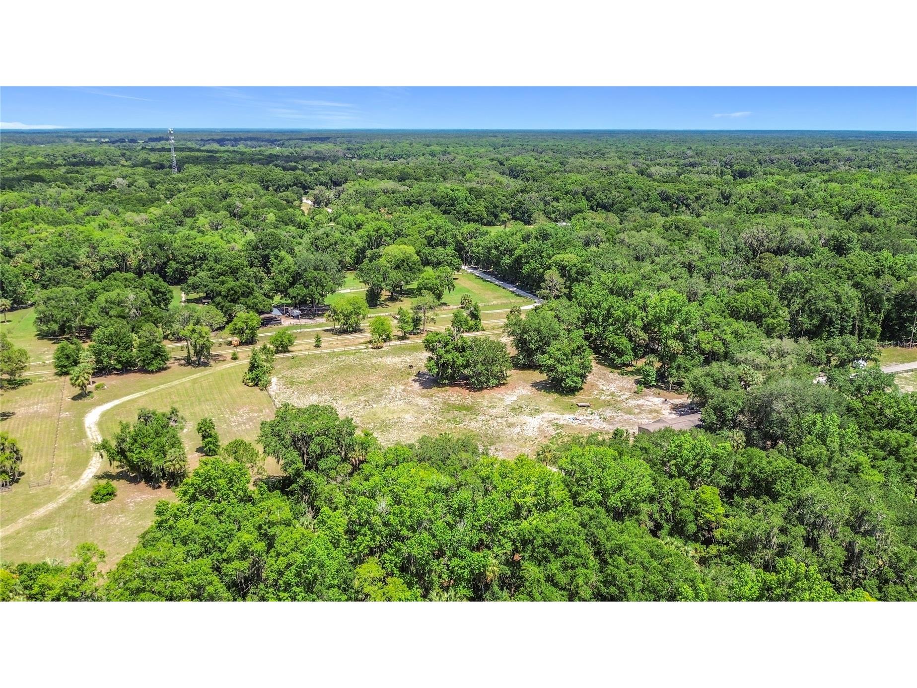 1689 NE 189th Lane Citra FL 32113 TB8513766 image31