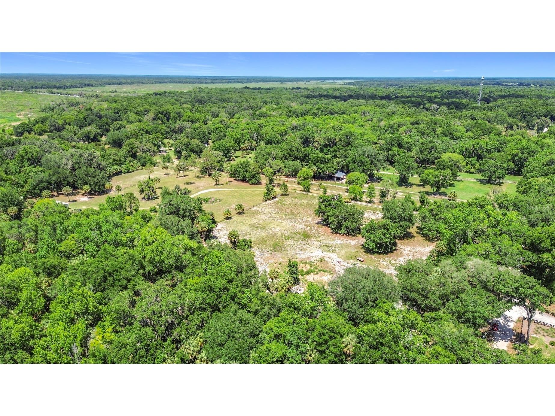 1689 NE 189th Lane Citra FL 32113 TB8513766 image33