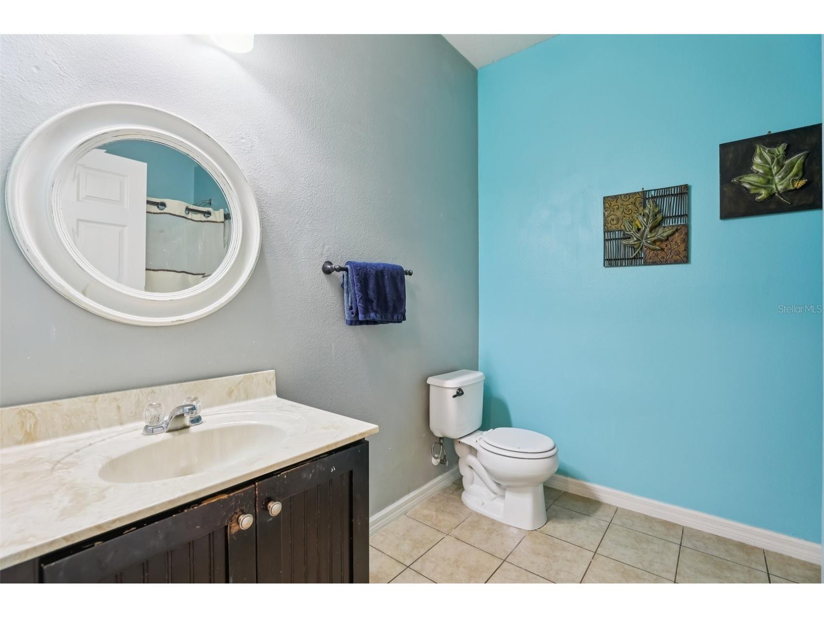 1689 Strathmore Circle Mount Dora FL 32757 G5105897 image16