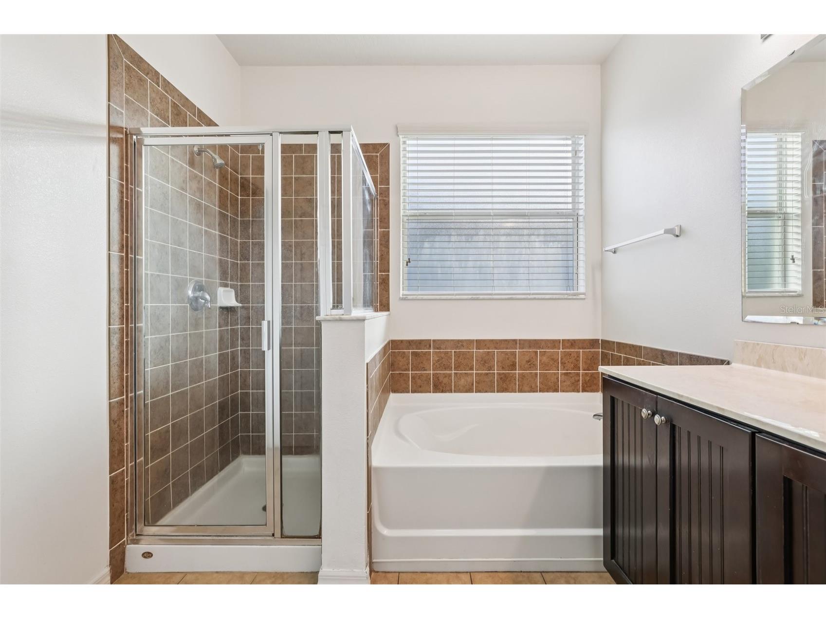 1689 Strathmore Circle Mount Dora FL 32757 G5105897 image28