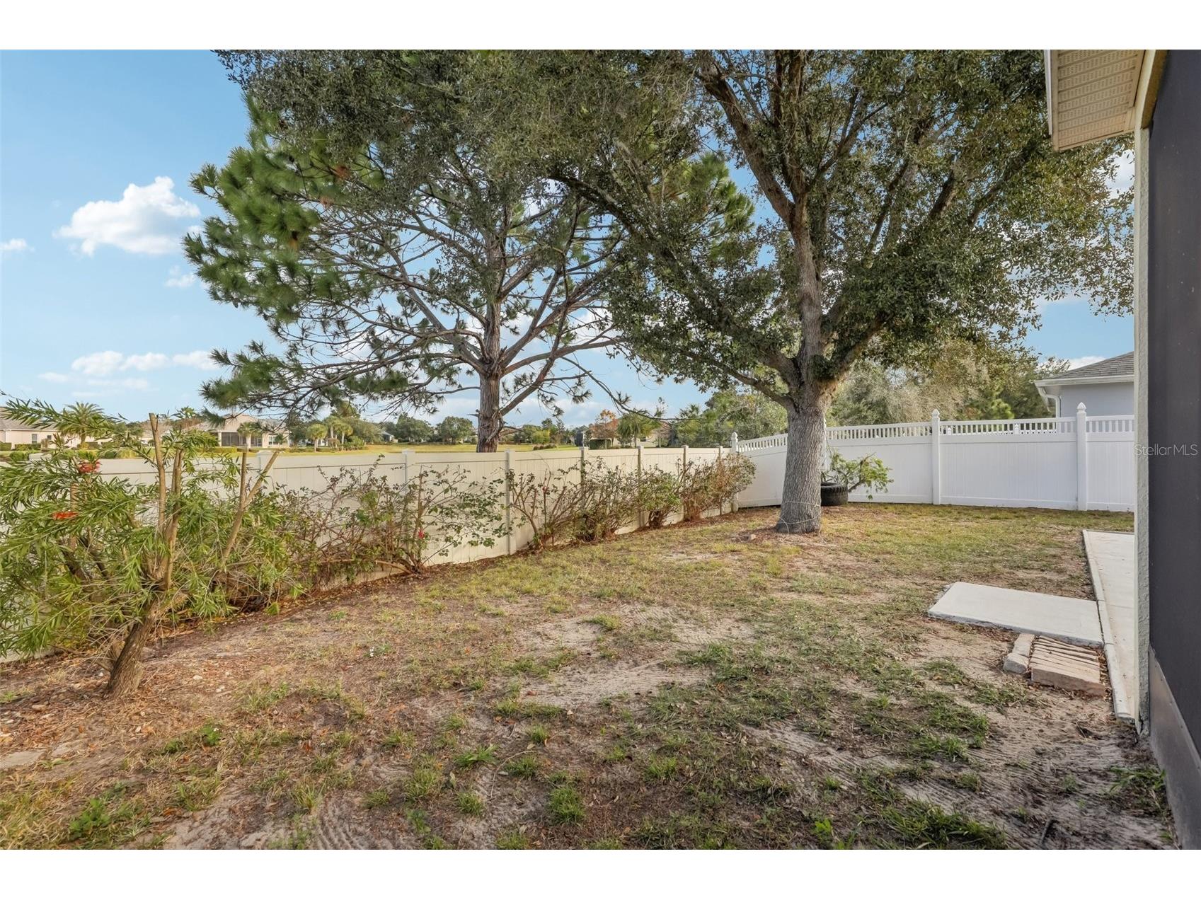 1689 Strathmore Circle Mount Dora FL 32757 G5105897 image35