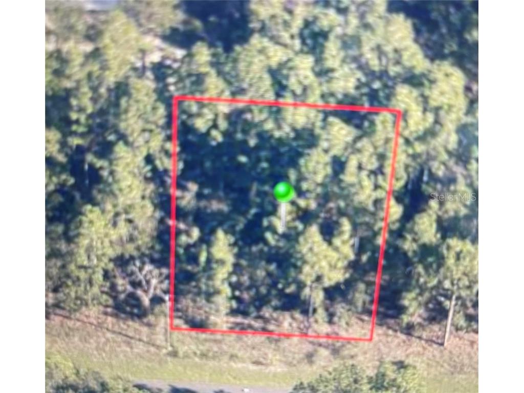 1689 W Oliver Drive Citrus Springs FL 34434 OM657147 image1