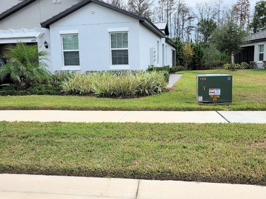 16890 Forge Surf Street Land O Lakes FL 34638 TB8454644 image1