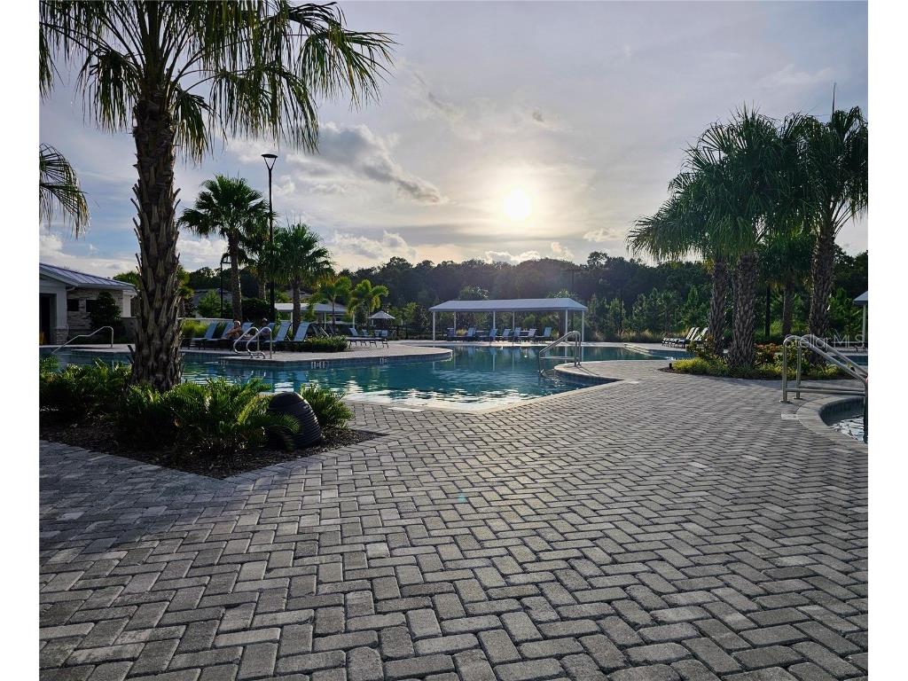 16890 Forge Surf Street Land O Lakes FL 34638 TB8454644 image15