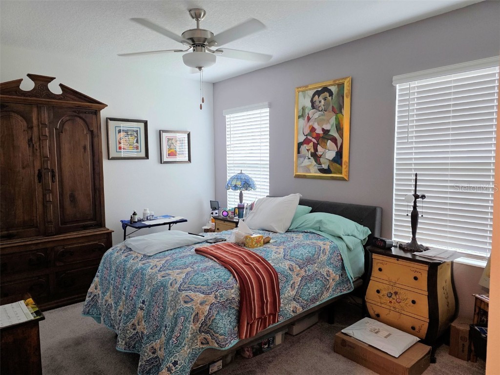 16890 Forge Surf Street Land O Lakes FL 34638 TB8454644 image18